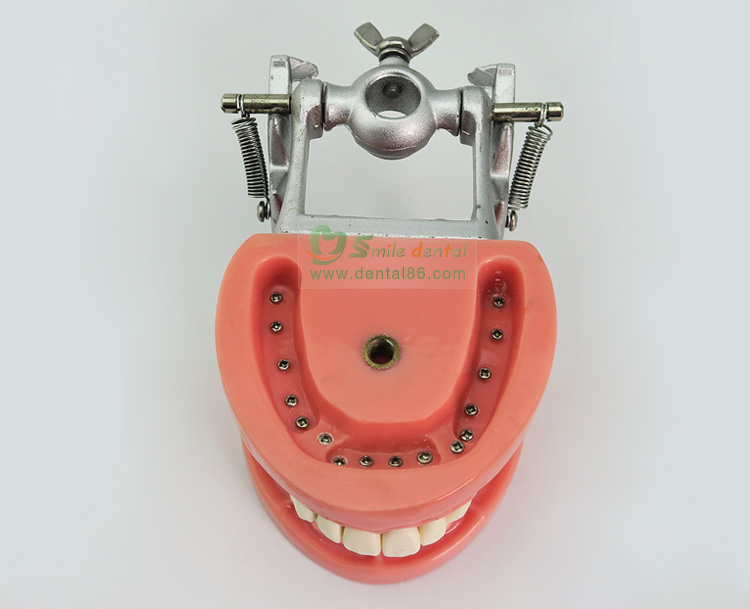 A6 Standard Model